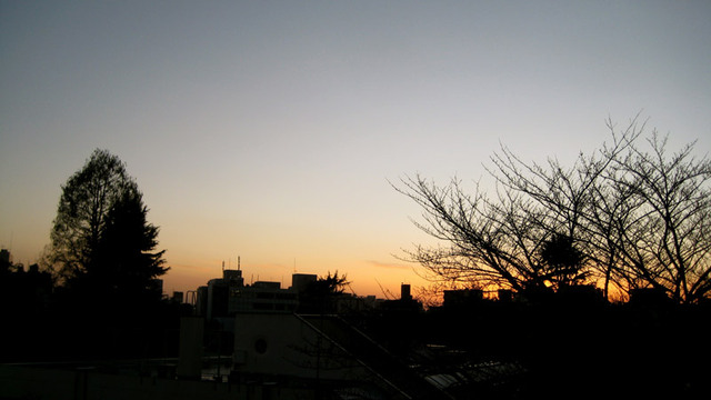 西郷山公園から